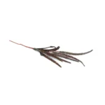 Artificial Tassel Stem - Image 6