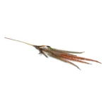 Artificial Tassel Stem - Image 9