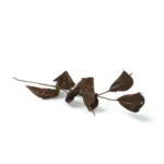 Colored Craft Leaves - Image 14