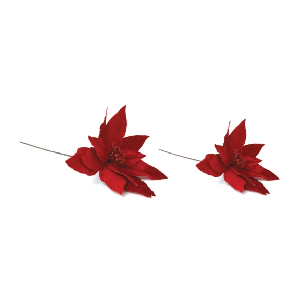 Red Velvet Poinsettia Flower