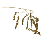 Shimmering Berry Sprigs - Image 2