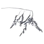 Shimmering Berry Sprigs - Image 4