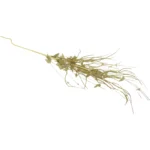 Metallic Willow Wisps - Image 2