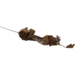 Enchanted Metallic Blooms - Image 6