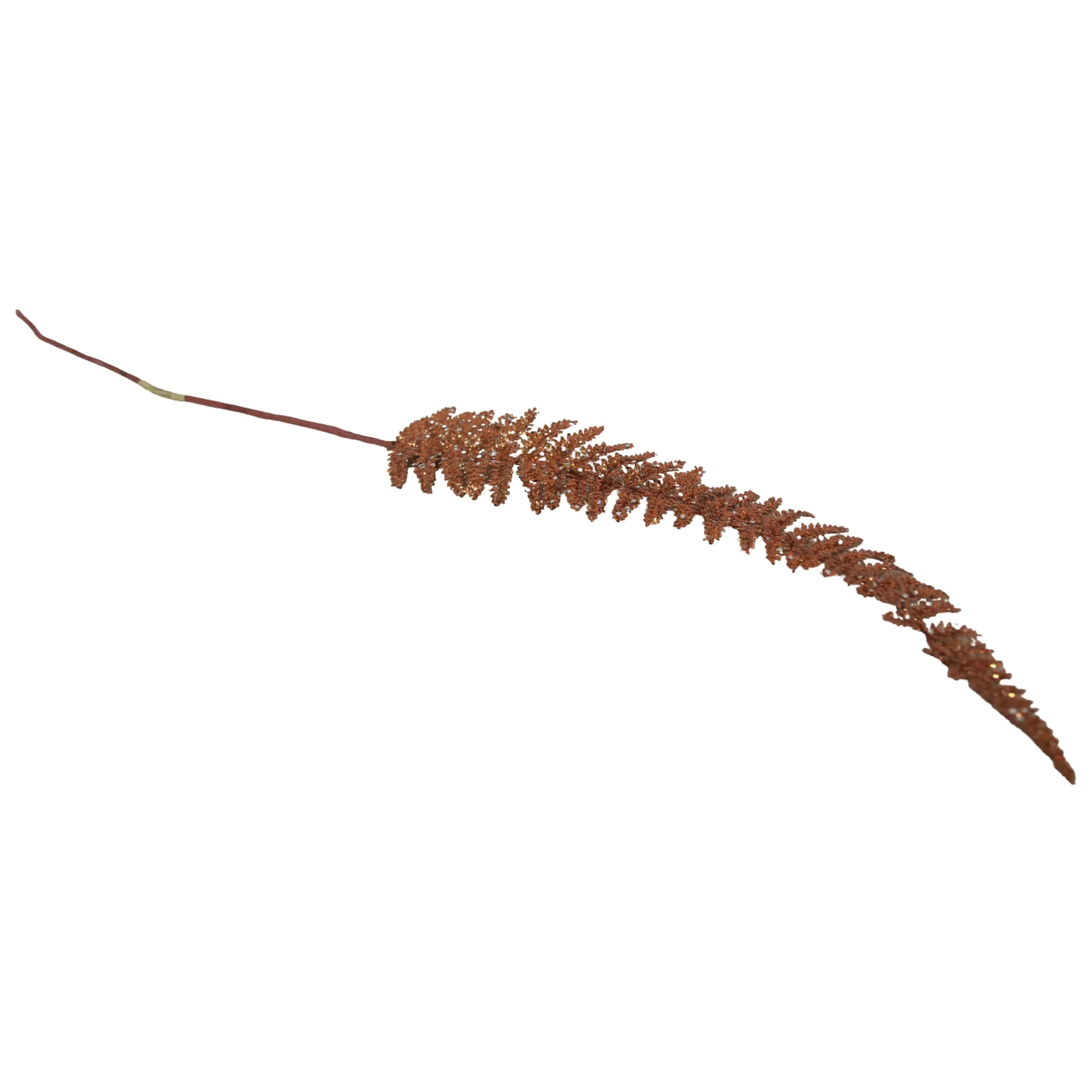 IMG_2981 Shimmering Copper Plume - Image 1