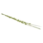 Assorted Decorative Beaded Spray Bundles - Image 4