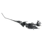 Shadow Dahlia Picks - Image 2