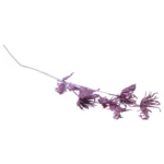 Shadow Dahlia Picks - Image 3