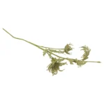 Shadow Dahlia Picks - Image 4