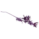 Shadow Dahlia Picks - Image 8