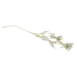Shadow Dahlia Picks - Image 9