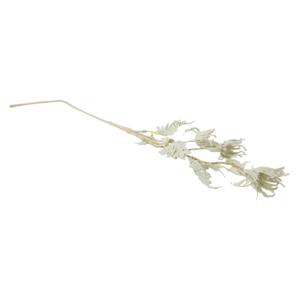 Shadow Dahlia Picks - Image 9