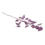 Assorted Glittered Lunaria Sprays - Image 2