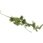 Sparkling Thistle Vine Sprays - Image 3