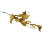 Metallic Poinsettia Stem With Berries - Image 2