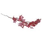 Glitter Maple Leaf Pick - Image 6