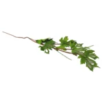 Glitter Maple Leaf Pick - Image 8