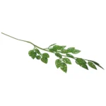 Glittered Laurel Leaf Pick - Image 9