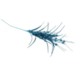 Assorted Glittered Pine - Image 3