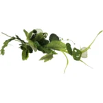 Fanciful Foliage Accents - Image 5