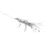 Metallic Willow Wisps - Image 4