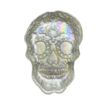 Iridescent Skull Plate - Image 2