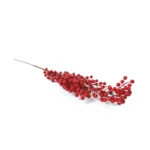 Red Berries Branch