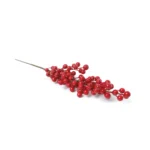 Red Berries Branch