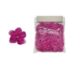 Sheer Jeweled Floral Motifs - Image 5