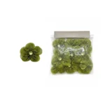 Sheer Jeweled Floral Motifs - Image 6