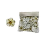 Shimmer Netting Jeweled Motif - Image 4