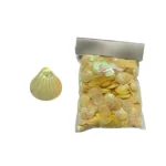 Sea Shells Payette Bag - Image 5