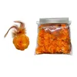 Sparkling Feathered Rose Motif - Image 11