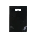 Metallic Plain Paper Bag - Image 3