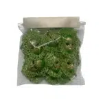 venetian mask Shape Motif - Image 9