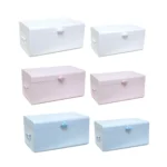 Metal Trunk with Cloud Shape Handle