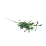 olive Artificial Branch