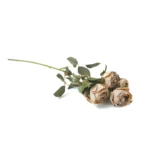 Five Pearl Roses Artificial Branch - Image 5