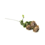 Four rolled-edge English roses Artificial Branch - Image 6