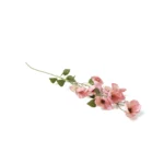 Plumeria rubra Artificial Branch - Image 3