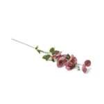 Plumeria rubra Artificial Branch - Image 4