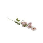 Plumeria rubra Artificial Branch - Image 5