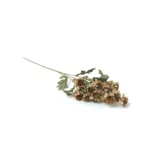 chrysanthemum Artificial Branch - Image 4